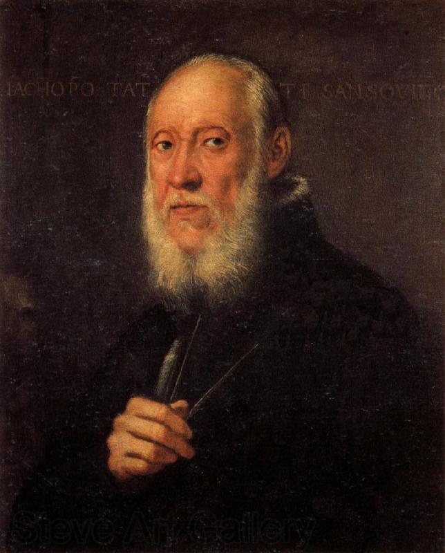 Jacopo Tintoretto Portrait of Jacopo Sansovino Spain oil painting art